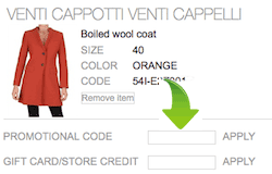 Luisaviaroma Promo Code Section Snapshot