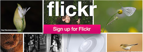 flickr sign up image