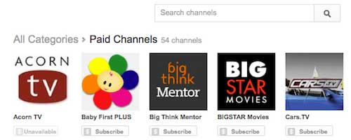 Youtube paid channels image